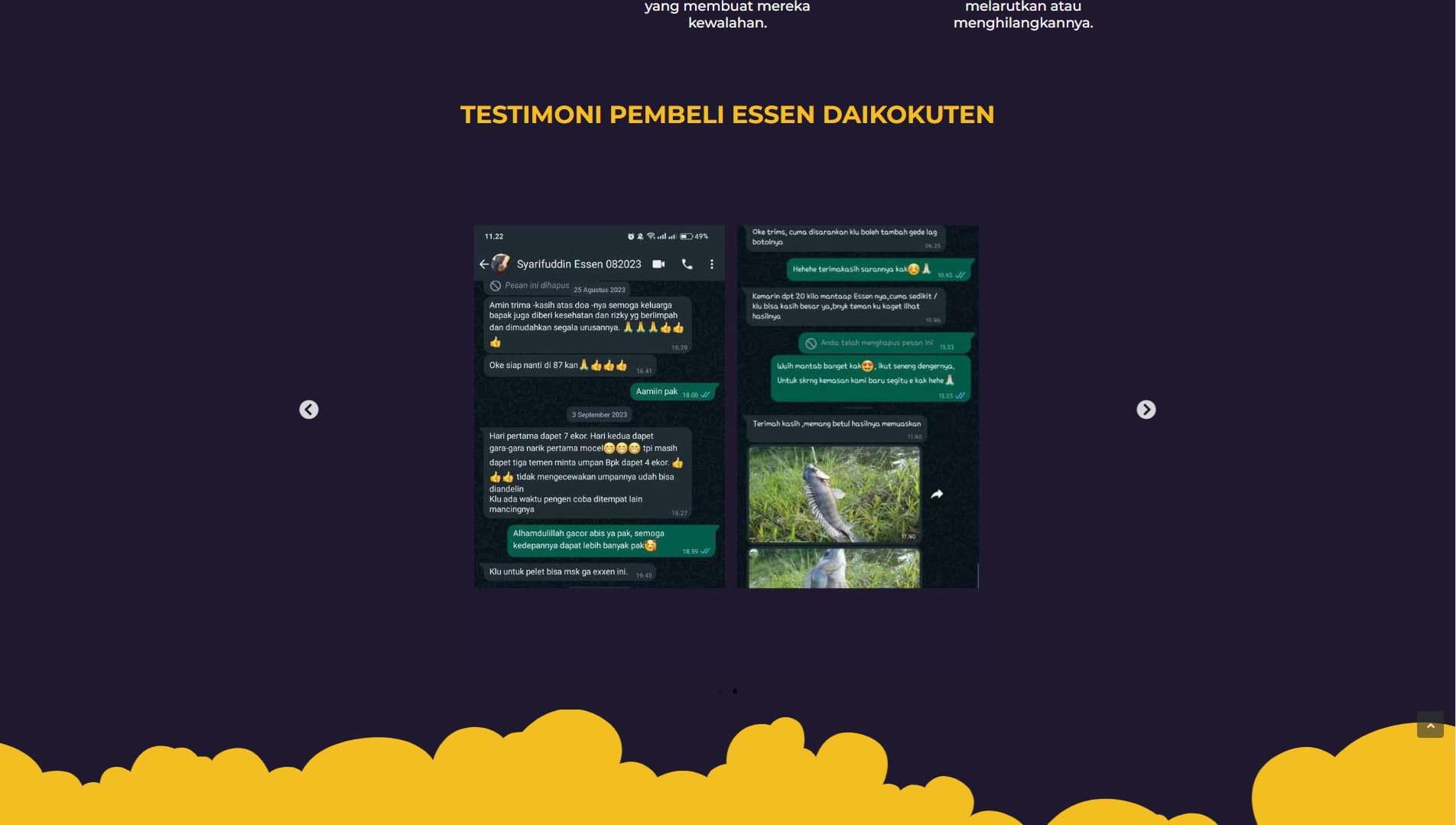 image number 2 of this project