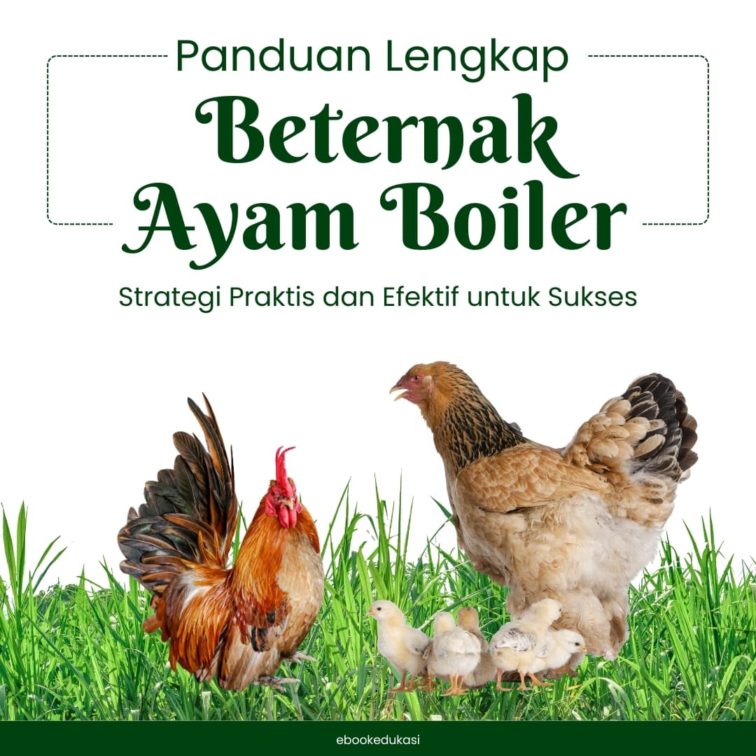 Project image of Ads Images - Ebook Edukasi