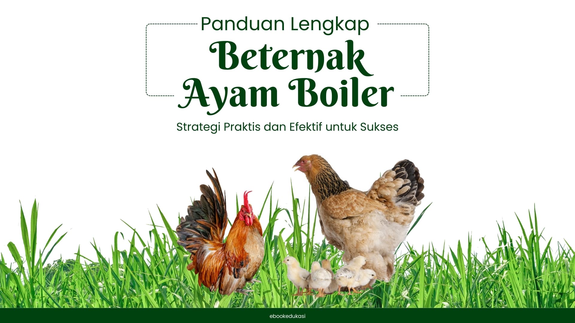 image number 2 of this project