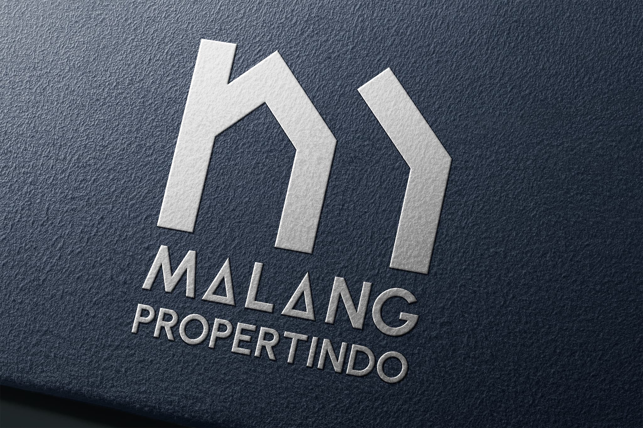 image number 0 of this project