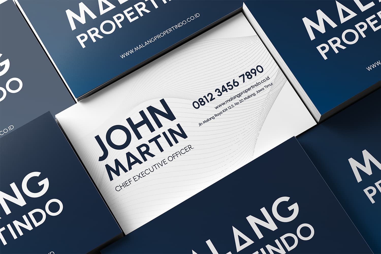 image number 2 of this project